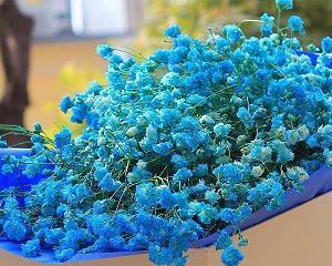 大雪最新微信朋友圈祝福语