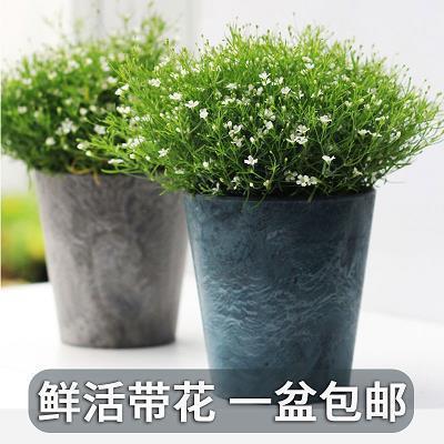 2022五一劳动节最佳祝福语(精选71条)