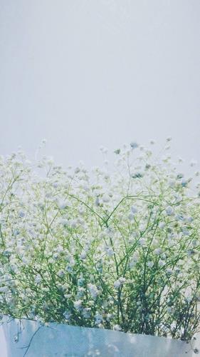 荟集