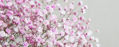 2020幼儿园教师节祝福语