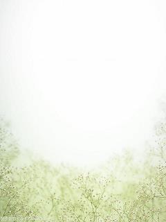昴星