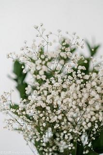 2021国庆节祝福短信送领导(精选56条)