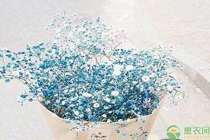 2021中秋节祝福语简短优美(精选79条)