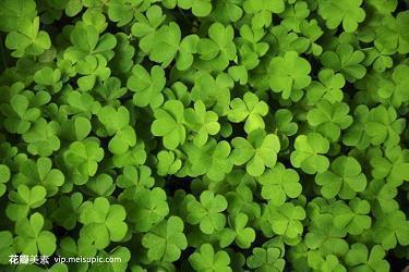 2021冬至祝福唯美句子(精选76条)