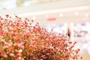 2021护士节抖音多赞医护人员致敬祝福寄语推荐57句