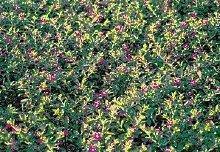 最经典一句生活难说说89句