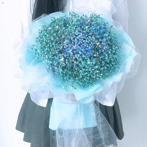 回忆大学生活的句子