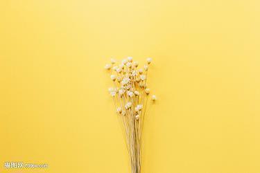 朋友圈情侣秀恩爱的句子 情侣发朋友圈的精美句子