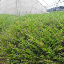 人生感悟经典名言短句