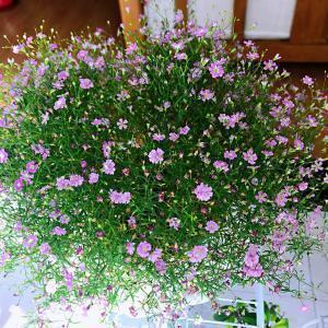 2021教师节送老师礼物的文案(精选90条)