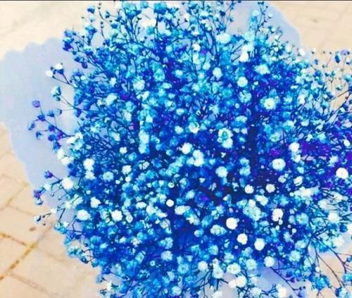 感人的父亲节祝福语 祝父亲节快乐的句子20句