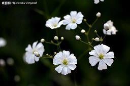 2021老师教师节祝福语简短(精选67条)