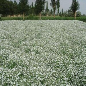 【推荐】成功的精辟语录 关于成功的名言推荐81句