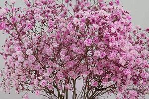 2021新年酒桌祝福语 2021酒局祝福语汇编70句