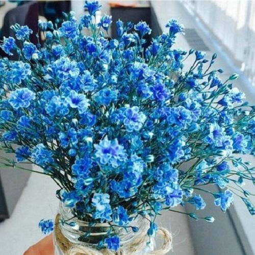 大寒节气的问候语