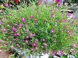 2021情人节微信告白的感人句子