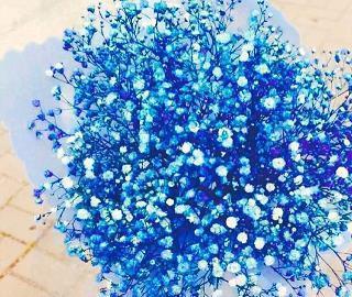 2020祝姐姐的女儿结婚祝福语