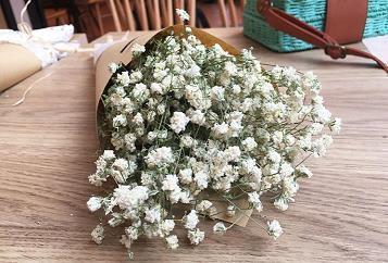 关于参军的句子