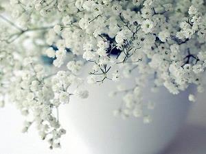 很扎心的伤感说说 爱而不得有点丧的说说(精选33句)