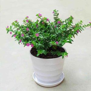 失望到闭口不言的句子 暗示失望和心凉的诗句(精选70句)