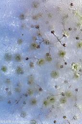 2021给老师的新年祝福语