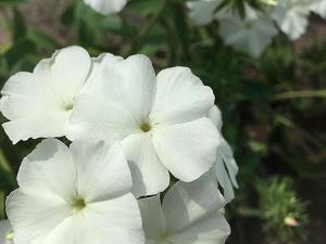 80句医院服务口号，经典用语