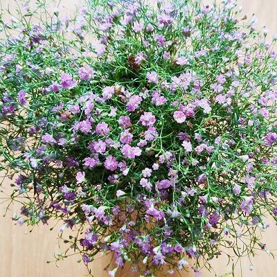 开心正能量的句子说说心情