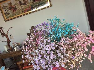 挪挱
