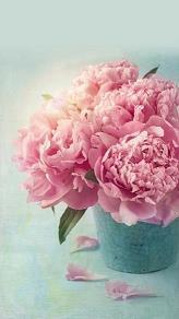 差强人意造句,差强人意的意思是什么,差强人意的读音,差强人意