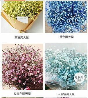 关于郁金香的优美句子