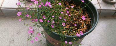 励志语录简短正能量 名人名言励志语录合集92句