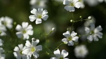 安慰朋友伤心的句子