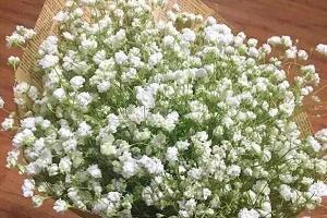 很精辟受用的恋爱句子 失恋后才明白的道理语录(精选31句)