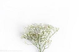 2021母亲节送花祝福语简短精选71句