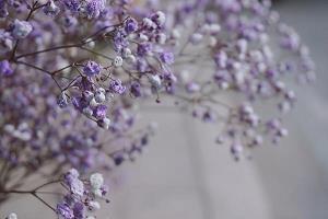 对她失望不再爱的句子