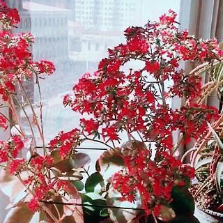 2021赞美五四青年节句子收录25句
