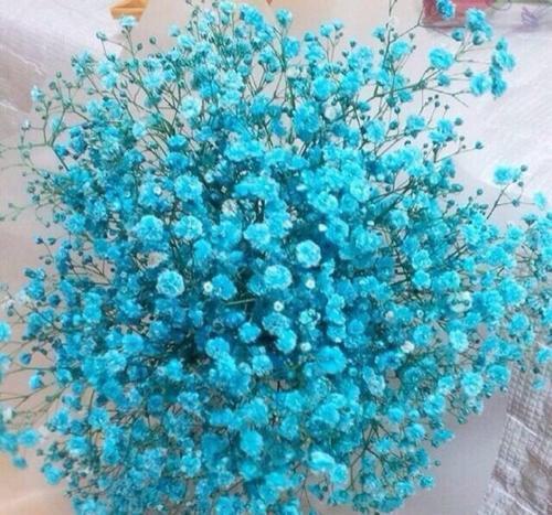 人生不设限的好句摘抄汇编47句