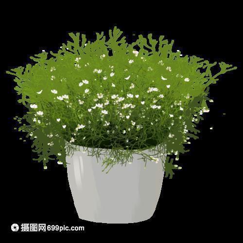 有内涵的qq空间英文说说带翻译大全 关于爱情的英文说说带翻译