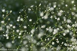 安慰人的暖心话收录24句