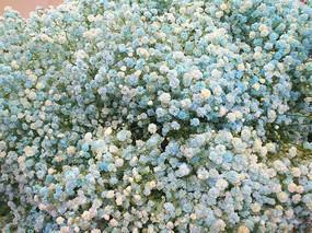 写感恩同学的句子