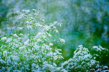 呼吁大家节约用电的句子(精选64句)