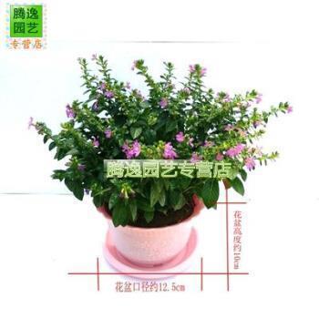 【精品】相濡以沫爱情唯美古诗 相伴一生的唯美诗句推荐99句