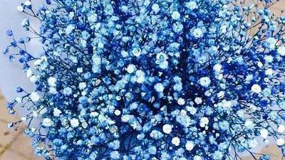 最新九月你好八月再见说说大全 九月你好说说一句话致自己