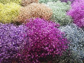 希望宝贝开心高兴的句子