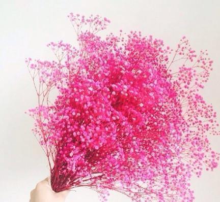 2021立春节气祝福语短信大全