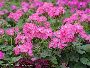 成熟气质，男生深夜发朋友圈句子