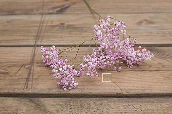 蜗舍