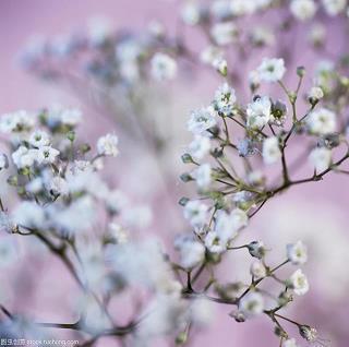 2021最流行的云拜年祝福语文案