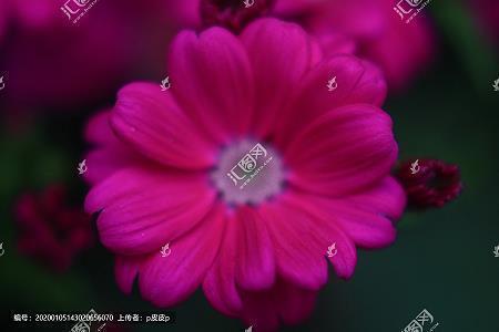 形容认真思考的句子67句