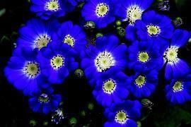 2021小年朋友圈祝福语文案短句唯美